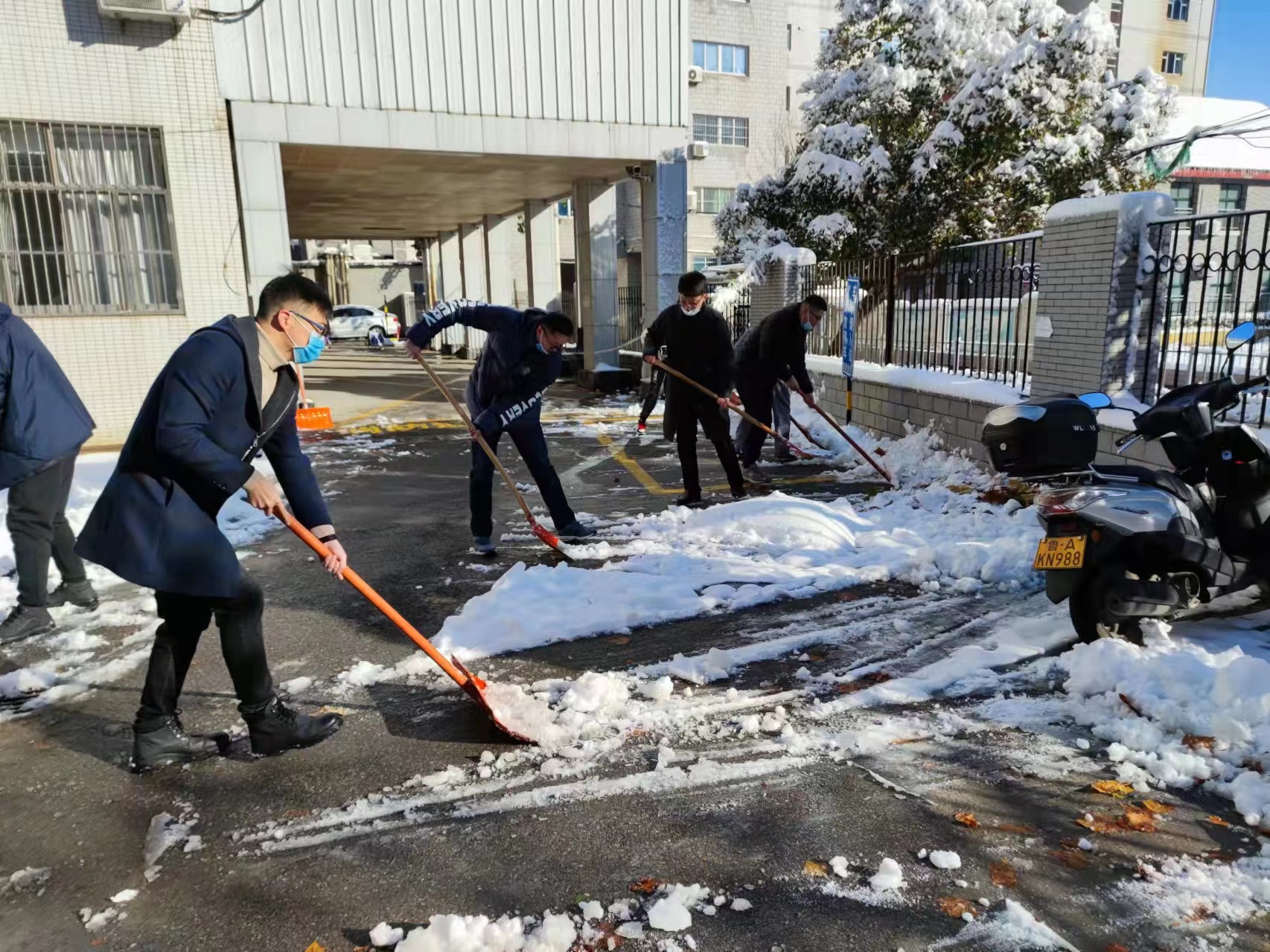 天寒地冻路难行 山大口腔在行动