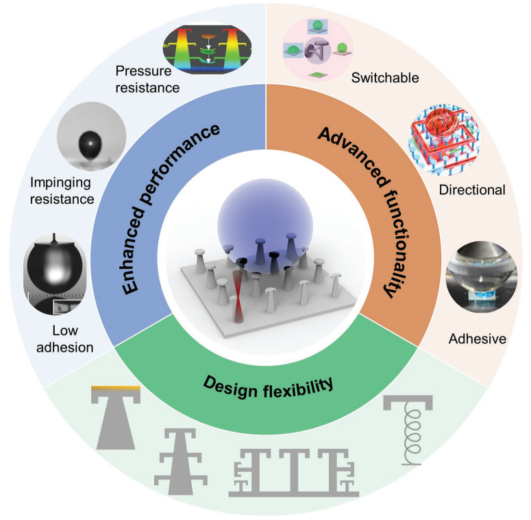 董哲勤课题组在国际著名材料期刊《Advanced Functional Materials》上发表综述